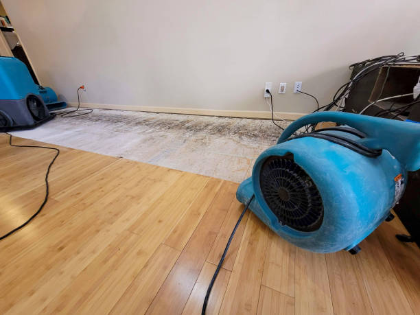 Professional Water Damage Repair technician working in San Clemente, CA